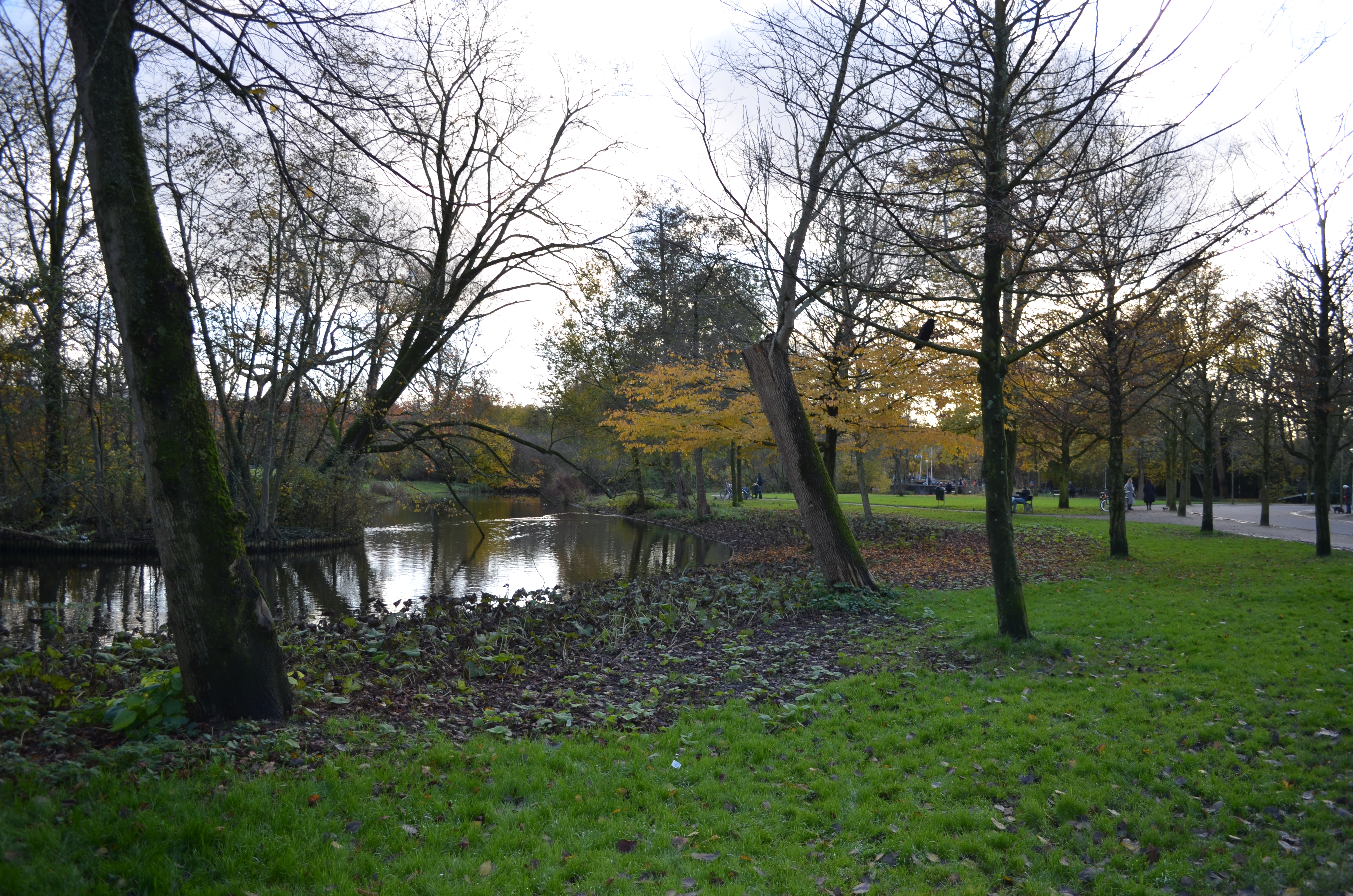 ./2017/19 - Viking Lif/13 - Amsterdam, The Netherlands/DSC_0555.JPG